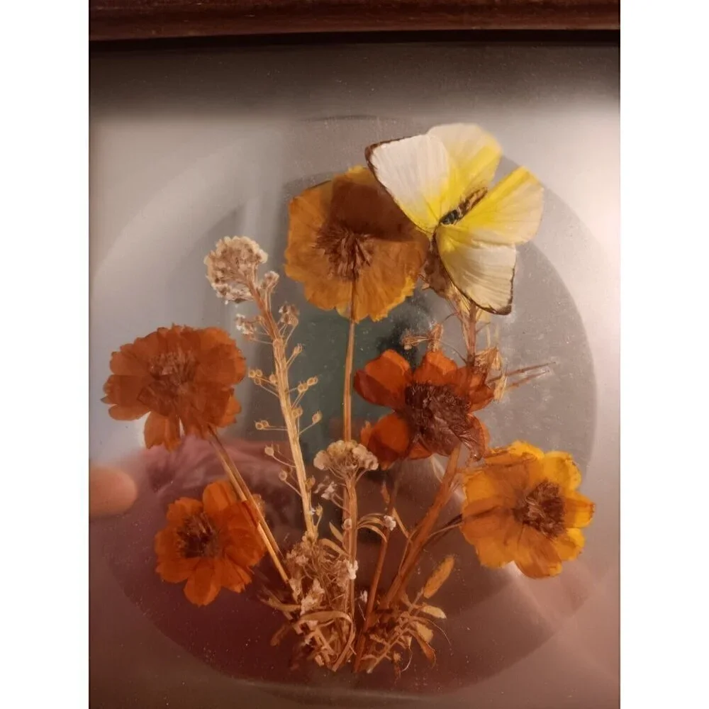 Vintage MCM Frosted Glass Mirror Framed Dried Flower And Butterfly Arrangement